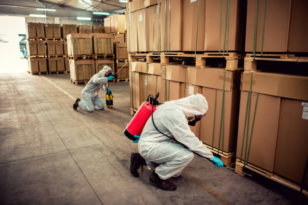 Reliable Pontiac, IL Pest Control Solutions