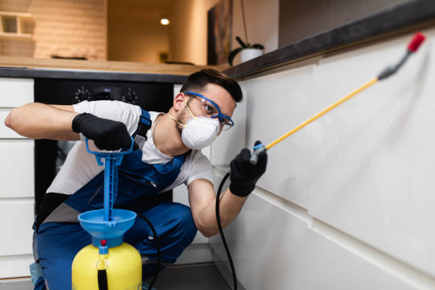 Best Residential Pest Control  in Pontiac, IL