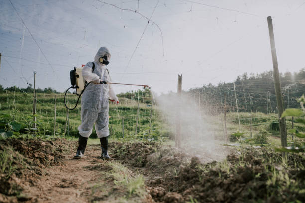 Best Mosquito Control Services  in Pontiac, IL