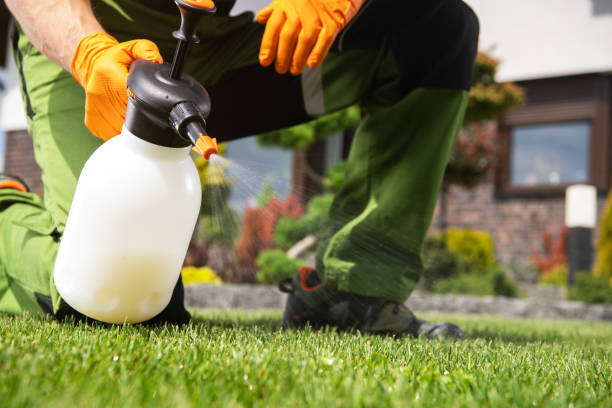 Best Pest Inspection Near Me  in Pontiac, IL