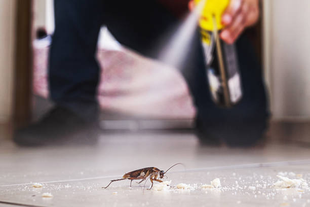 Best Pest Prevention Services  in Pontiac, IL
