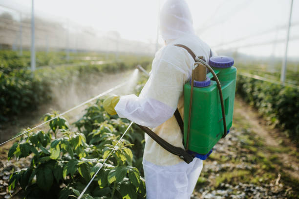 Best Exterminator Services  in Pontiac, IL